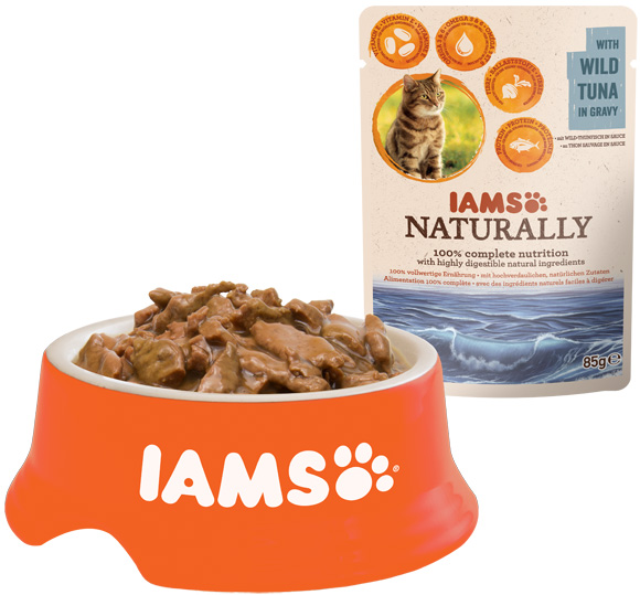 Iams karma best sale